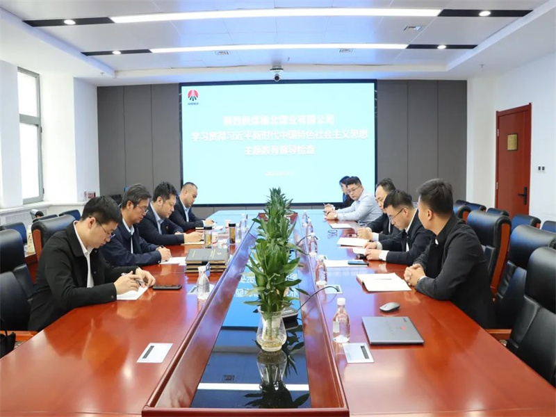 公司開展學習貫徹習近平新時代中國特色社會主義思想主題教育督導(dǎo)檢查.jpg