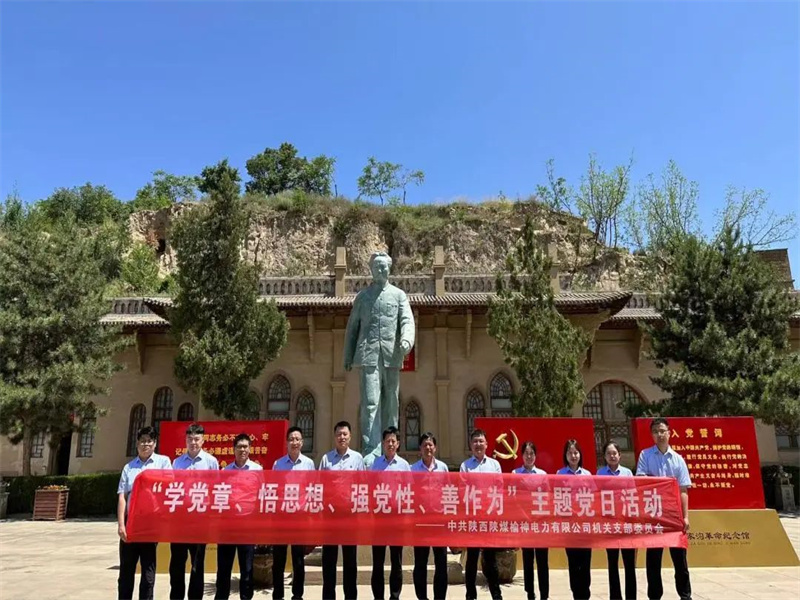 榆神電力公司開展“學(xué)黨章、悟思想、強黨性、善作為”主題黨日活動.jpg