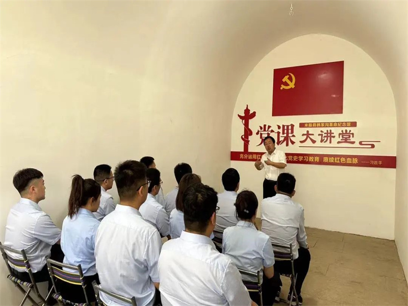 榆神電力公司開展“學(xué)黨章、悟思想、強黨性、善作為”主題黨日活動（3）.jpg